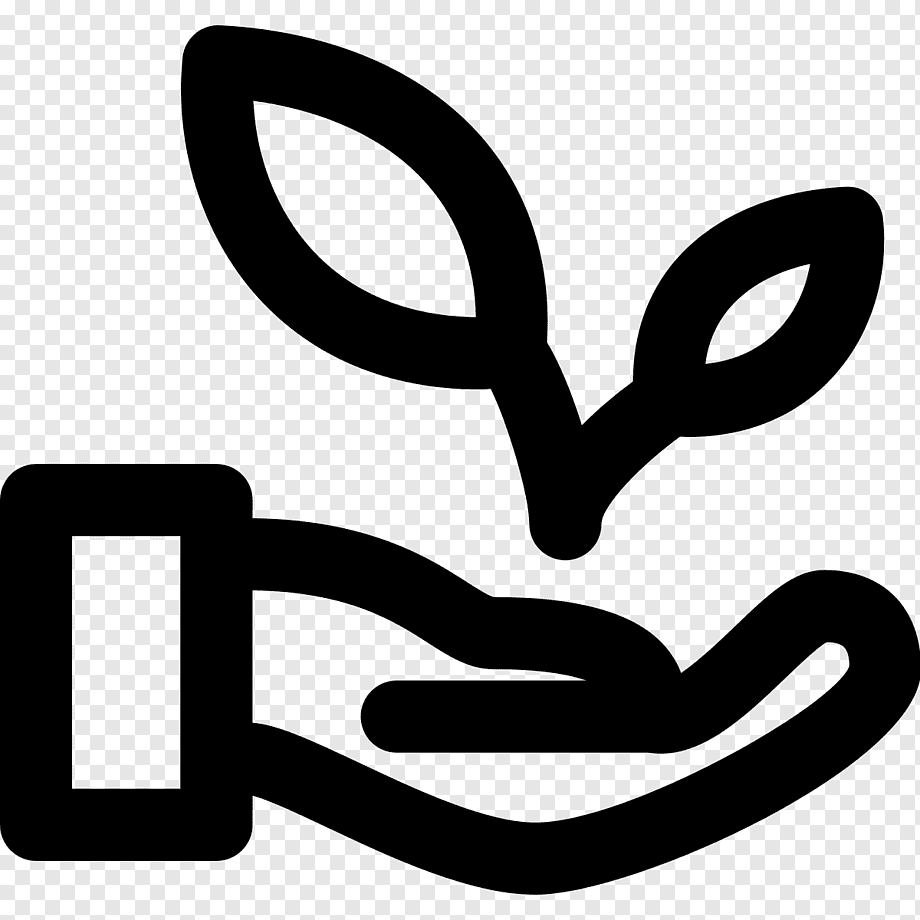 R (1)